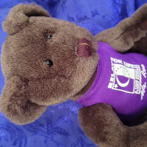 1998-1999 ACS Relay For Life "Mr. Ree" (mystery) Teddy Bear VTG Plush Logo Bear - Picture 11 of 17